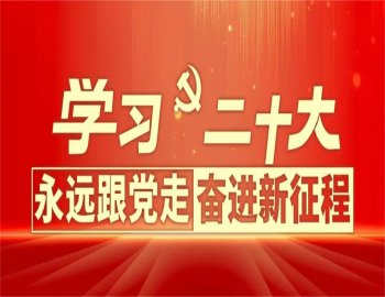 作出如下决定